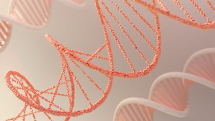 3d representation dna