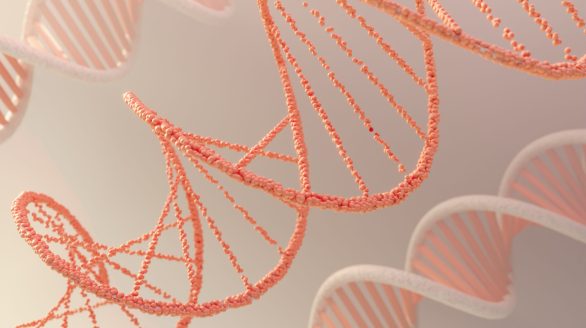 3d representation dna